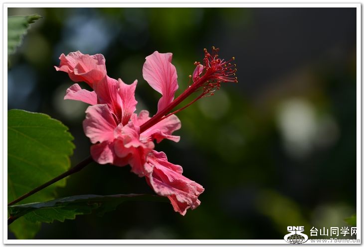 nEO_IMG_DSC_2801.jpg