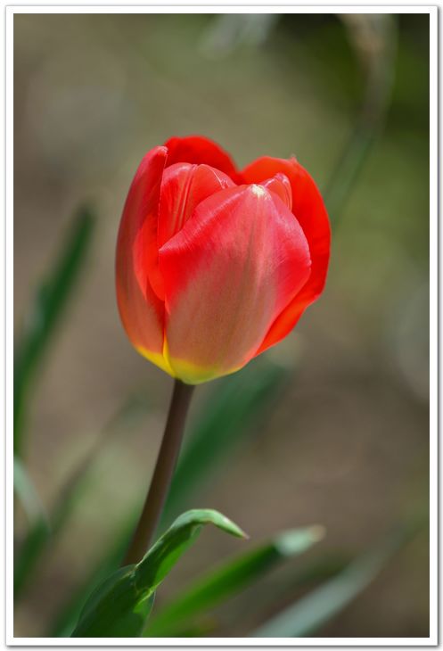 nEO_IMG_DSC_0898.jpg