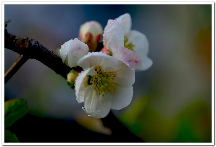 nEO_IMG_DSC_0770.jpg