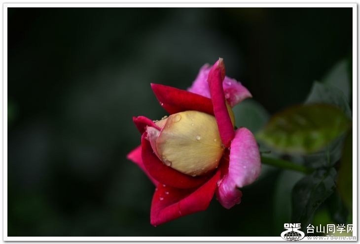 nEO_IMG__DSC9023.jpg