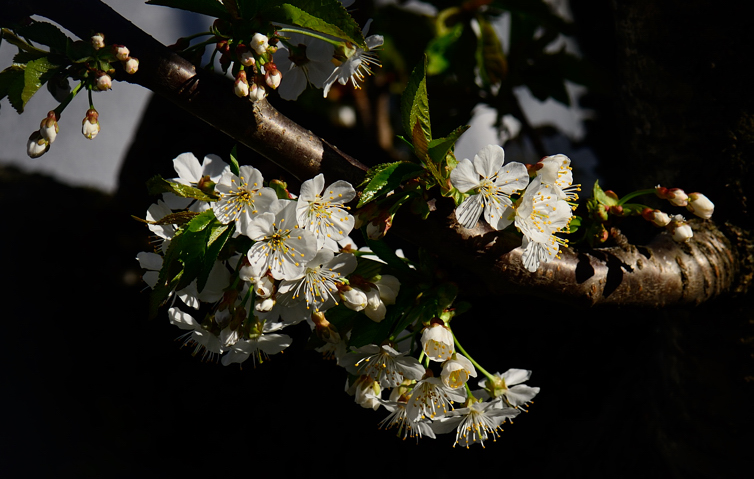 DSC_5750.jpg