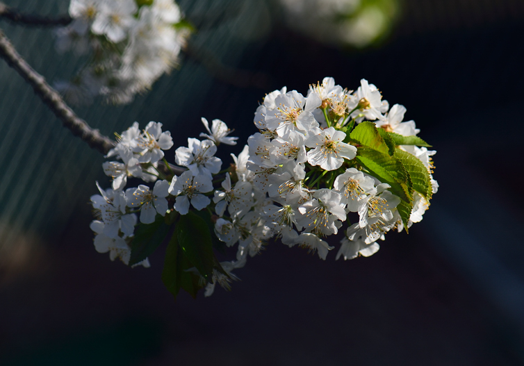 DSC_5742.jpg
