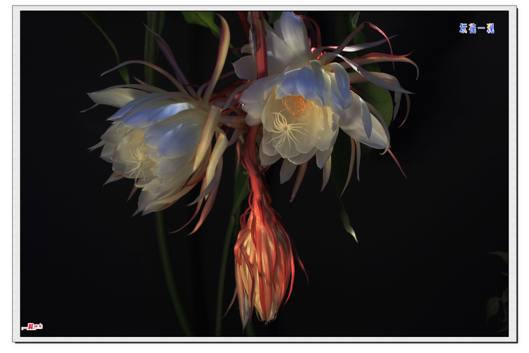 ��Ƭ 051.jpg