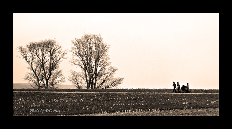 DSC_0464C.jpg