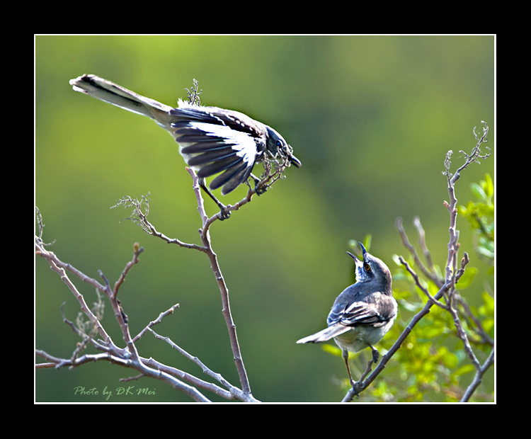 DSC_0029B.jpg