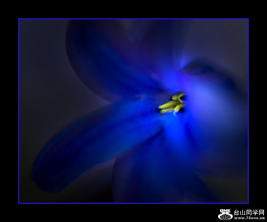 DSC_9005C.jpg