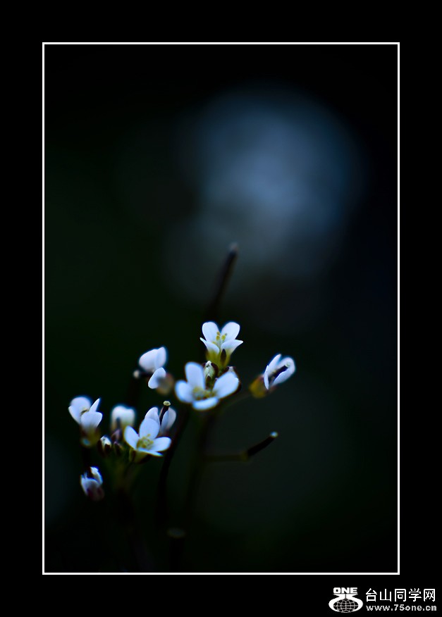 DSC_9281C.jpg