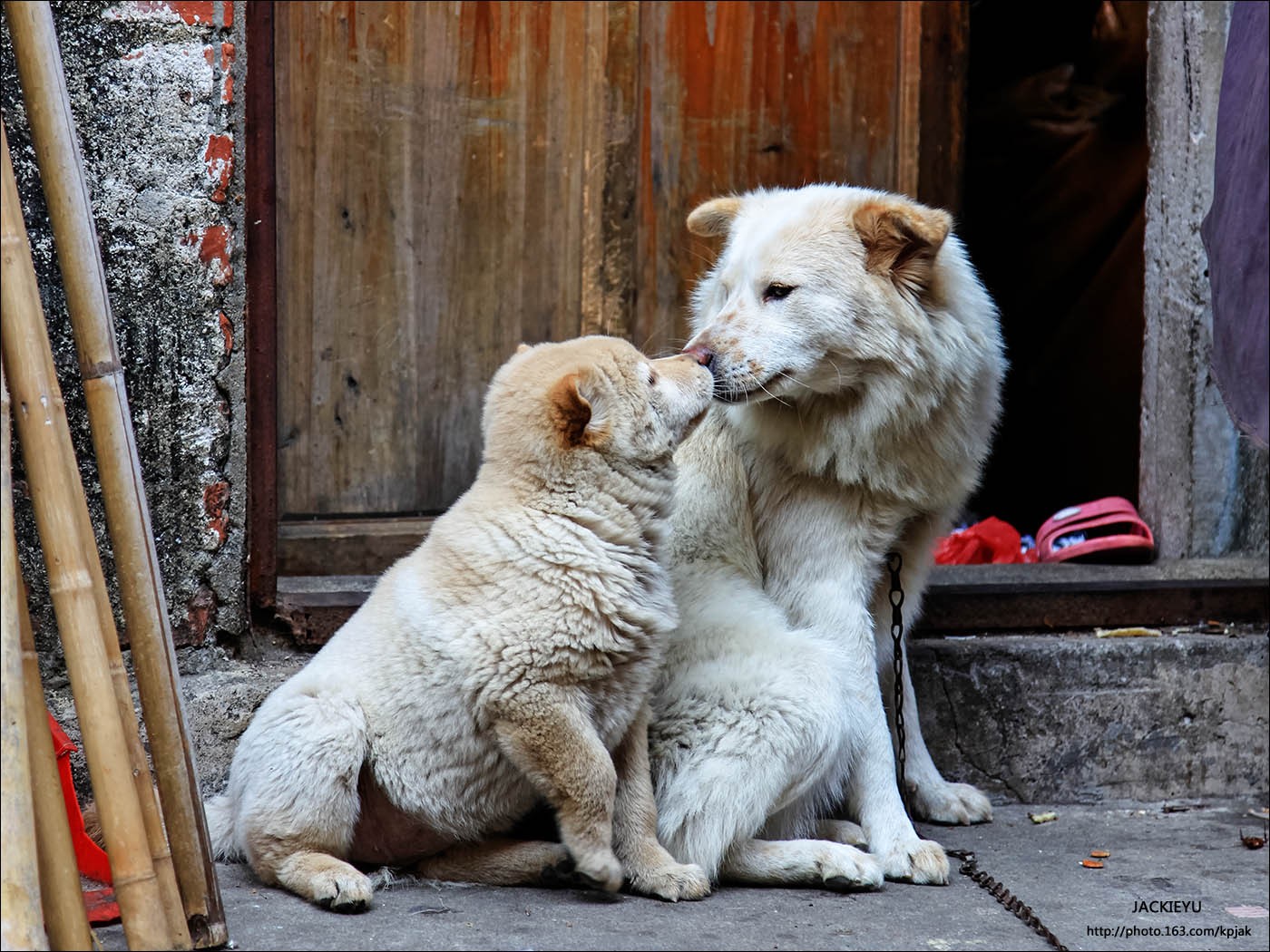 QQͼƬ20130426140724.jpg