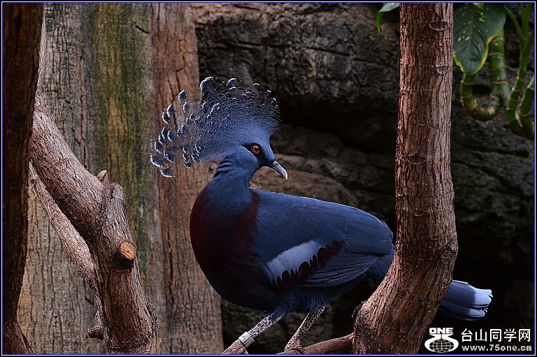 DSC_2940.jpg