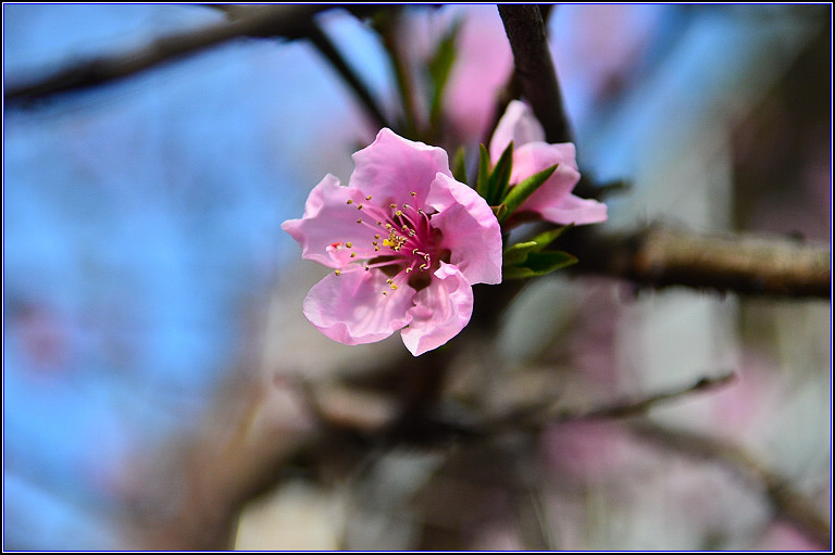 DSC_8876.jpg