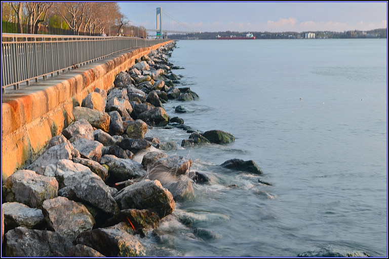DSC_9930.jpg