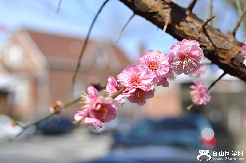 DSC_0687_����.jpg