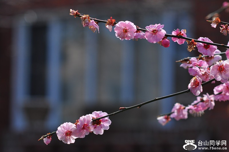 DSC_0700_����.jpg