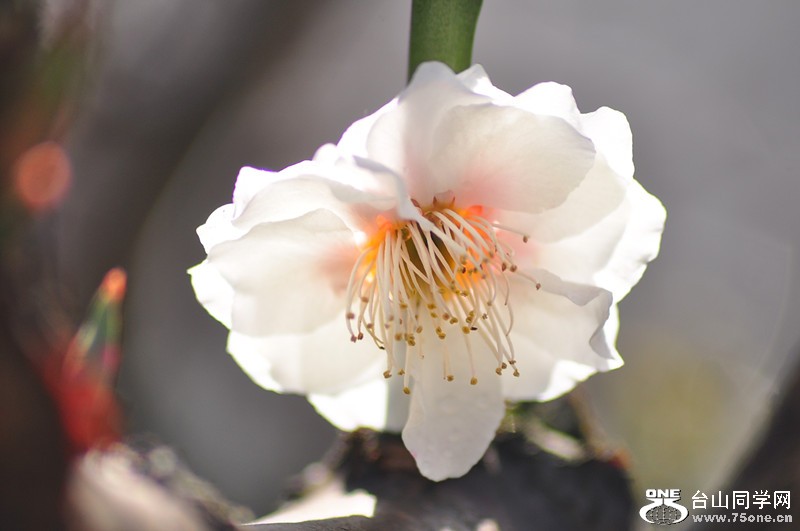 DSC_0671_����.jpg