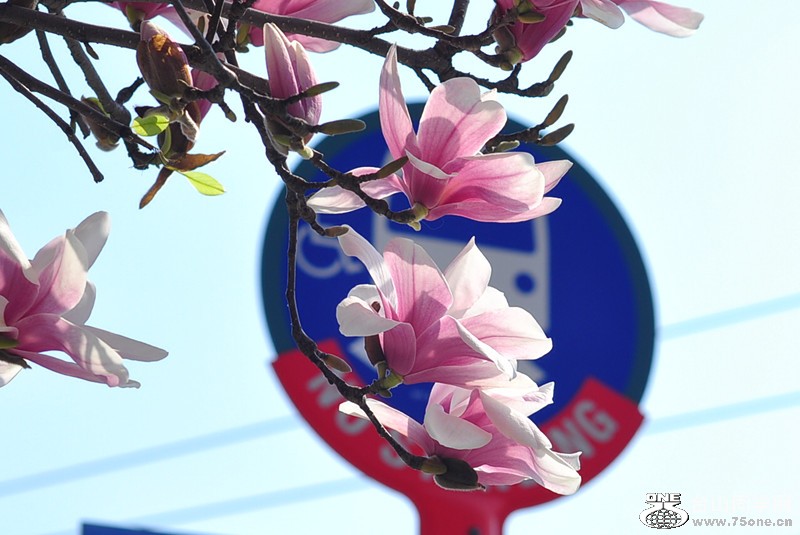 CSC_0877_����.jpg