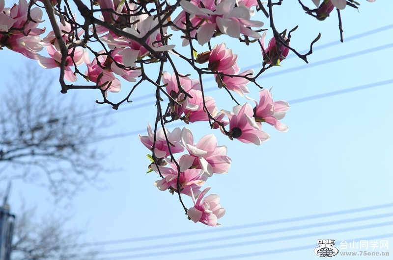 DSC_0875_����.jpg