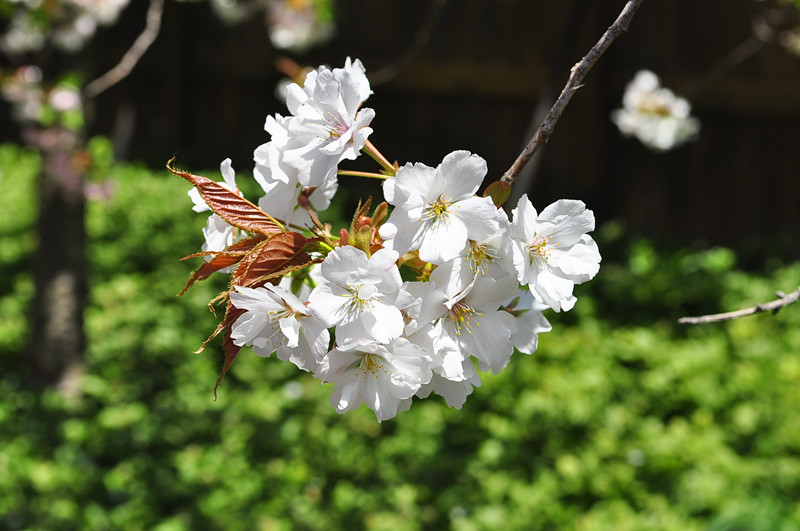 DSC_0326_����.jpg