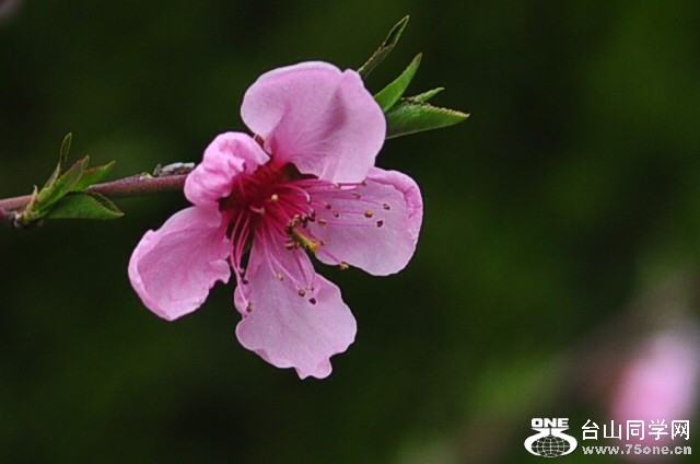 CSC_0943_����.jpg