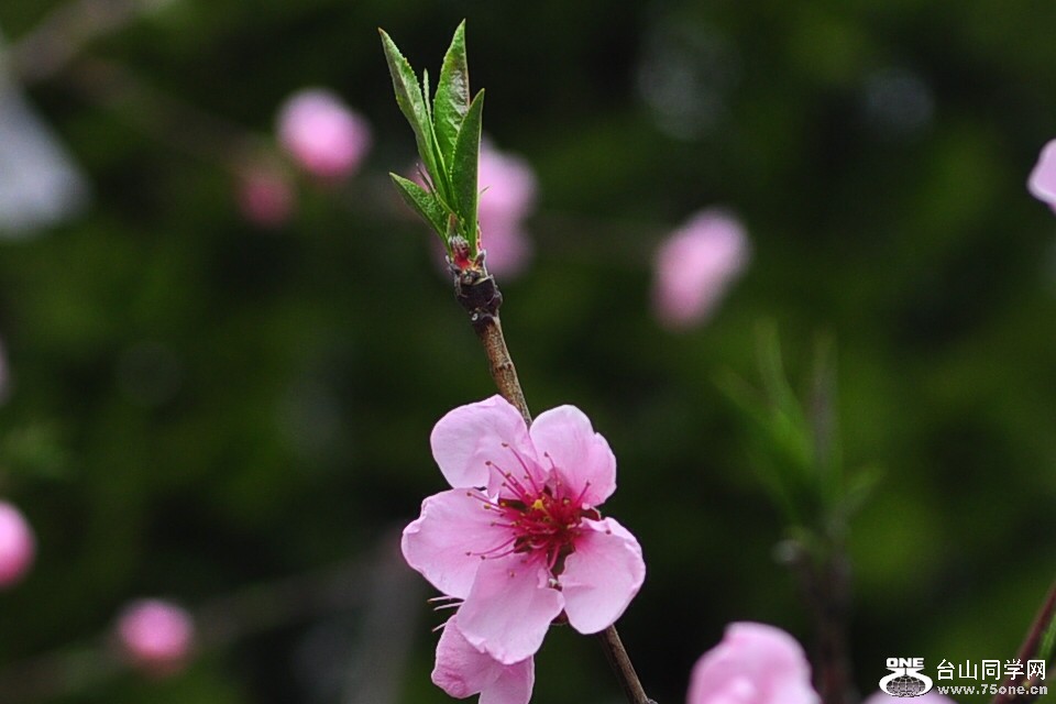 CSC_0939_����.jpg