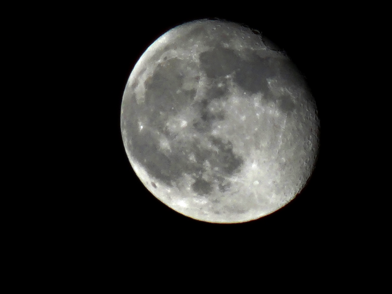 DSC00356.fjpg.jpg