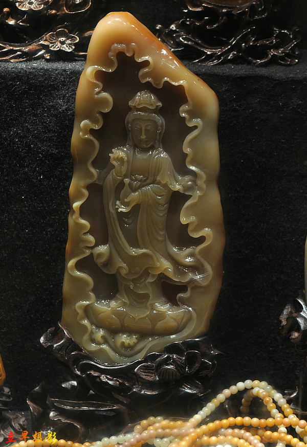 DSC_8032.JPG