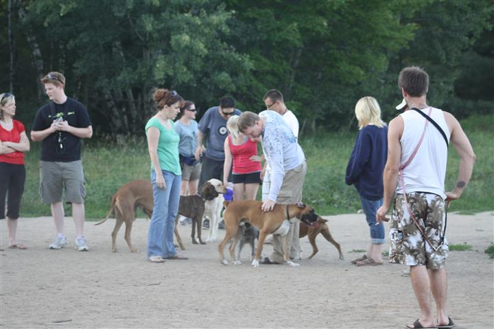 Picture 031 (Small).jpg