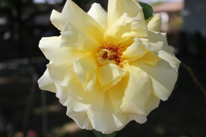 2012_03100875_.JPG