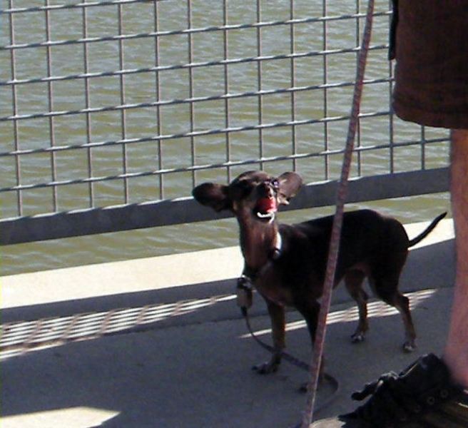 DSCF4020=0.jpg