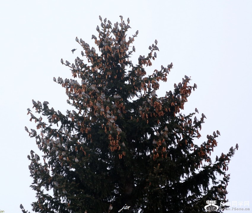 IMG_7384=.jpg