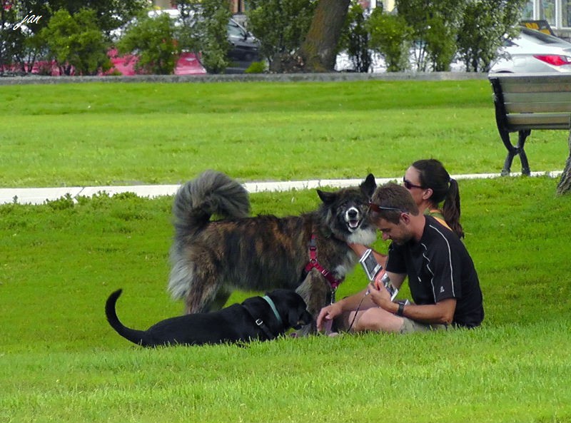 H2300157=.jpg