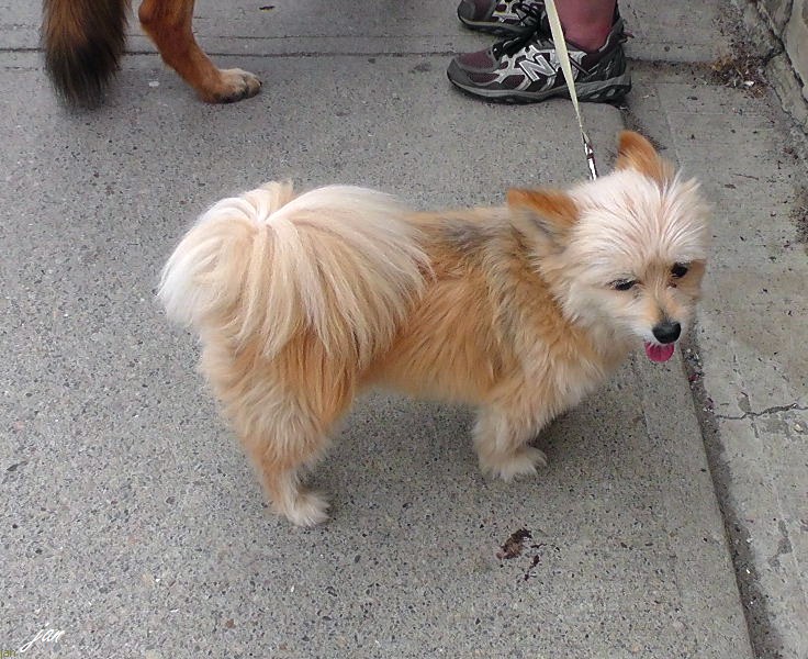 H2300088.JPG