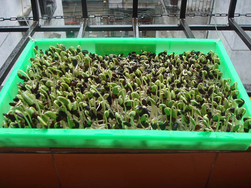 DSC01486_.jpg