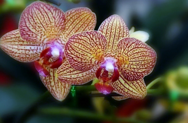 201093221919.jpg