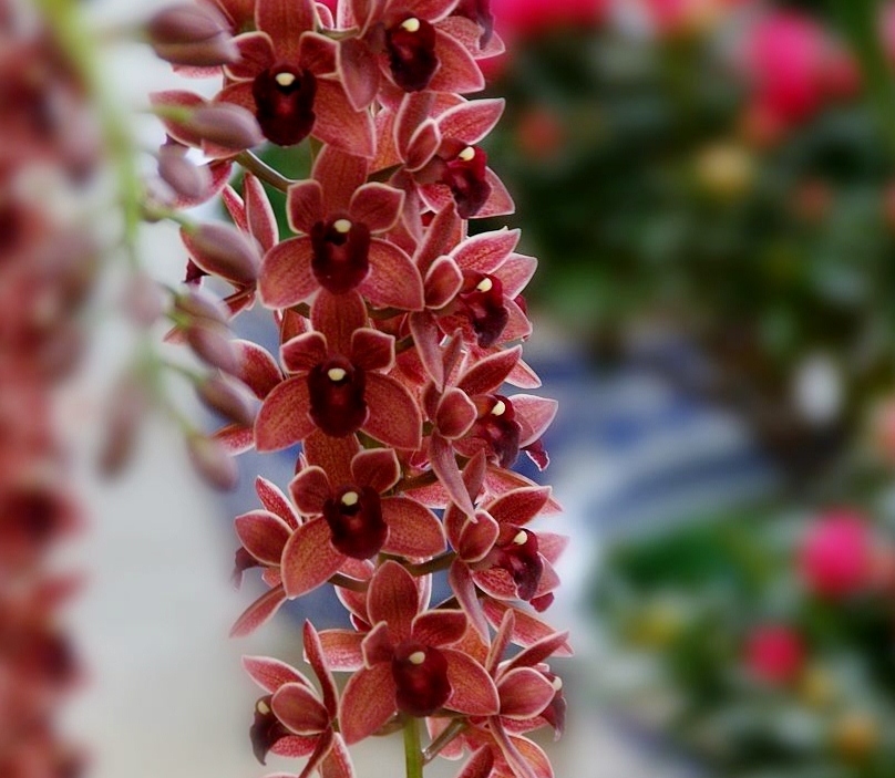 201093223731.jpg
