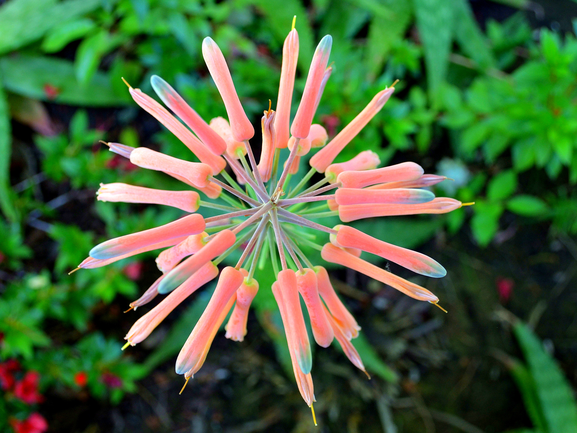 dsc_0063_20.jpg