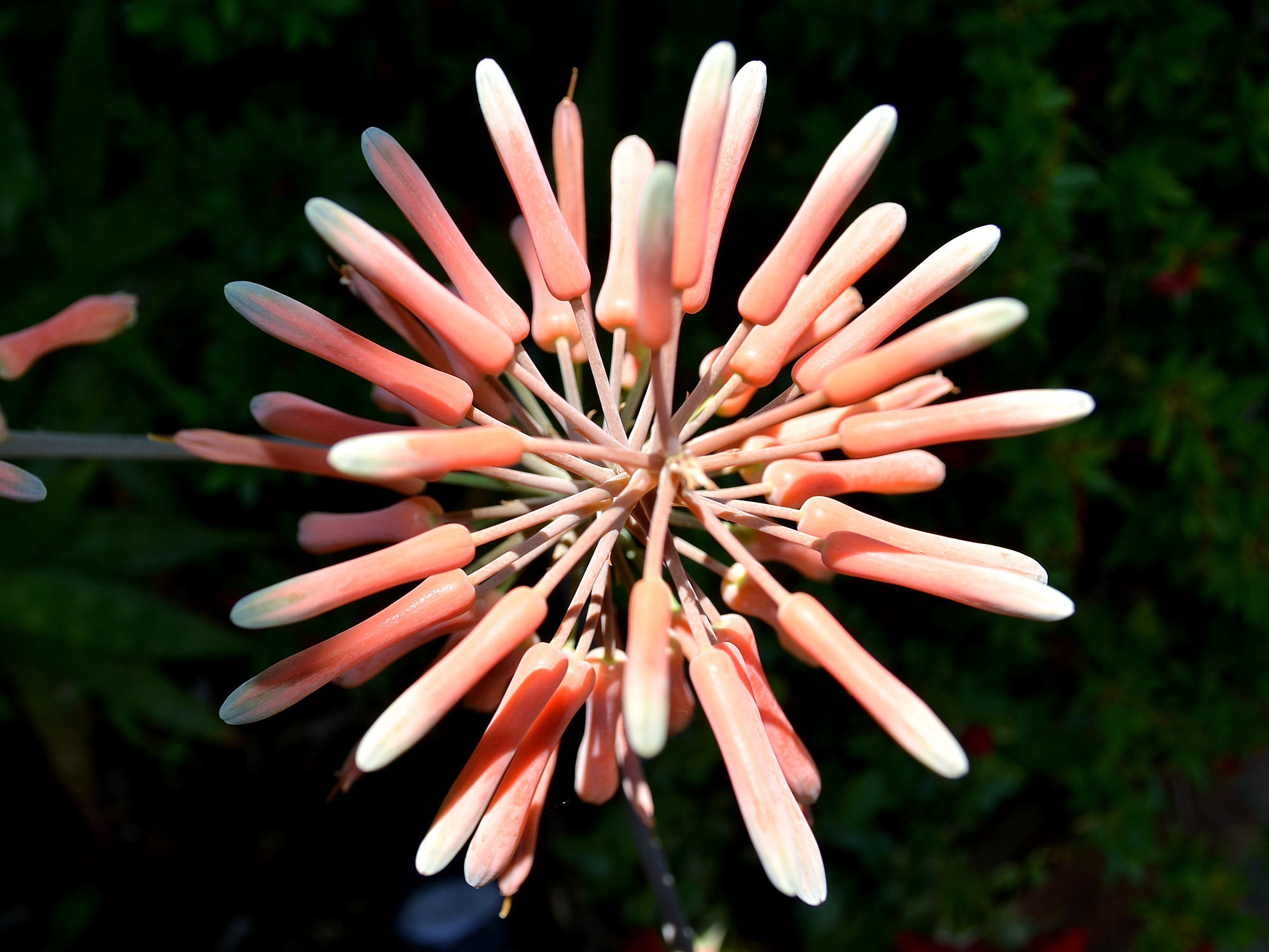 dsc_0066_19.jpg