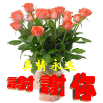 лл29.gif