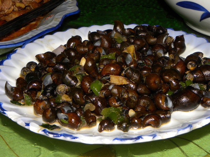 191.jpg