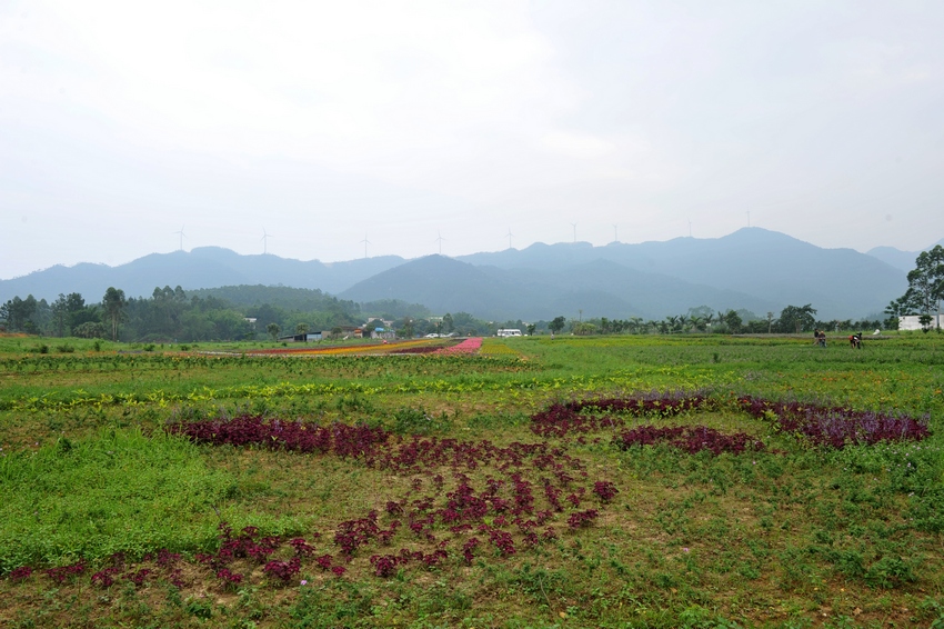 Ƭ 0361.jpg