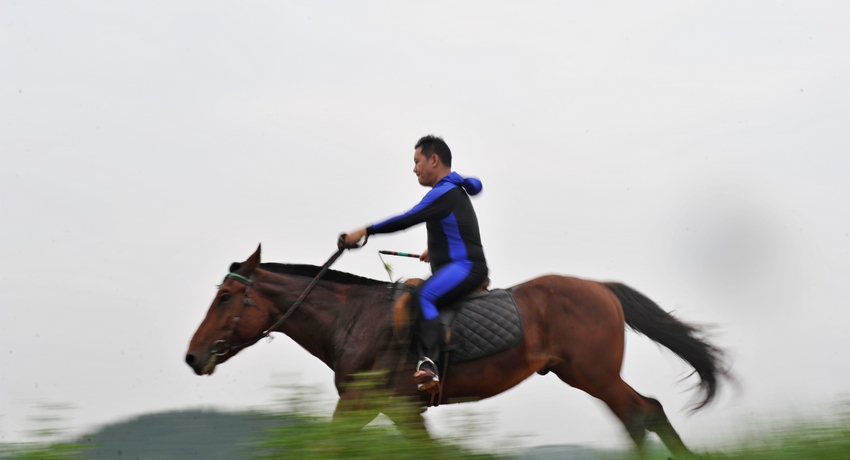 Ƭ 0791.jpg