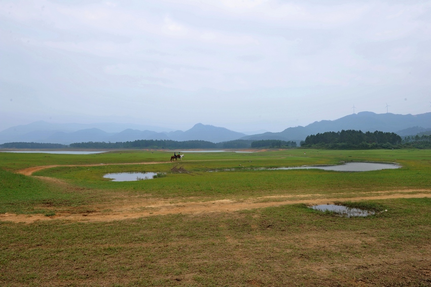 Ƭ 0911.jpg