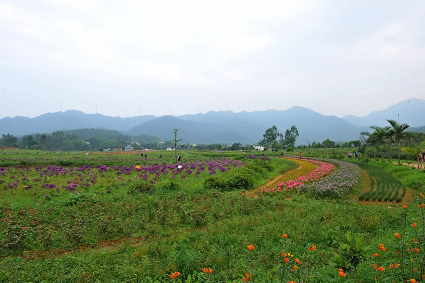 Ƭ 0451.jpg