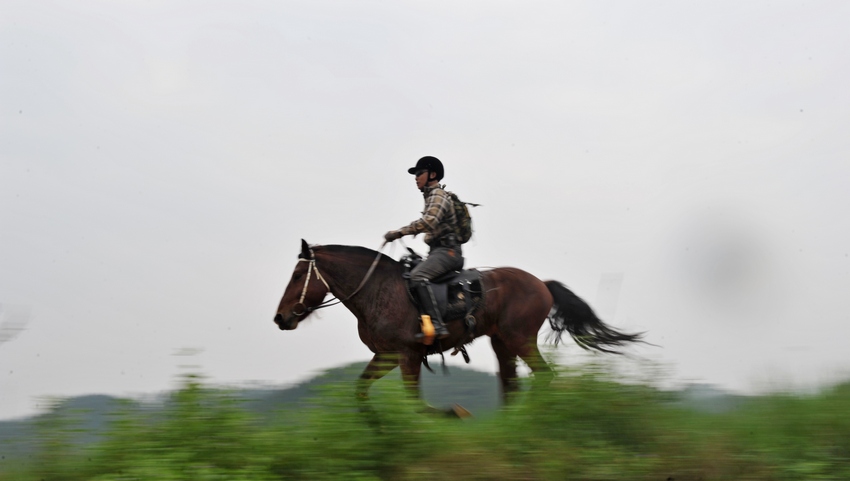 Ƭ 0811.jpg