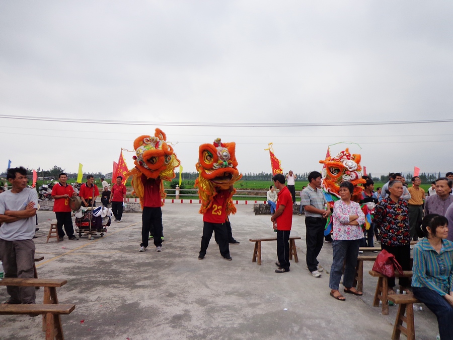 DSC02485.jpg