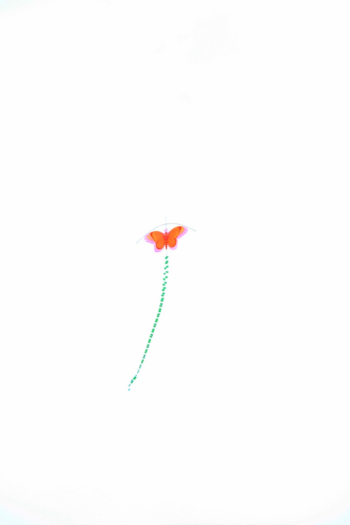 Ƭ 222.jpg