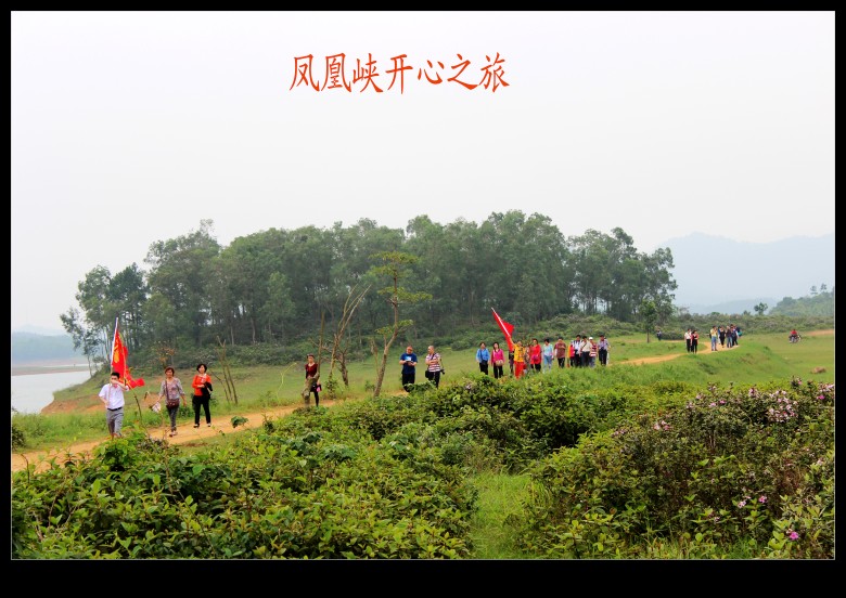 IMG_7700_conew1.jpg