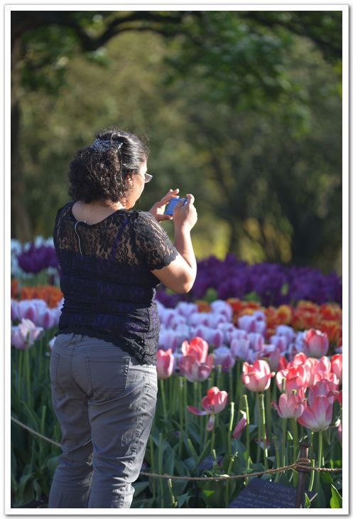 nEO_IMG_DSC_2992.jpg