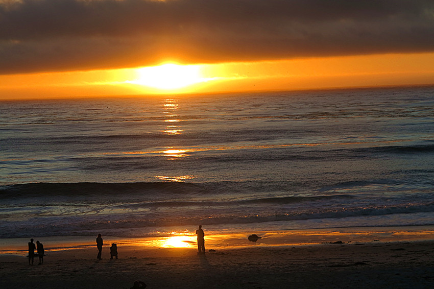 Picture 1036_.jpg