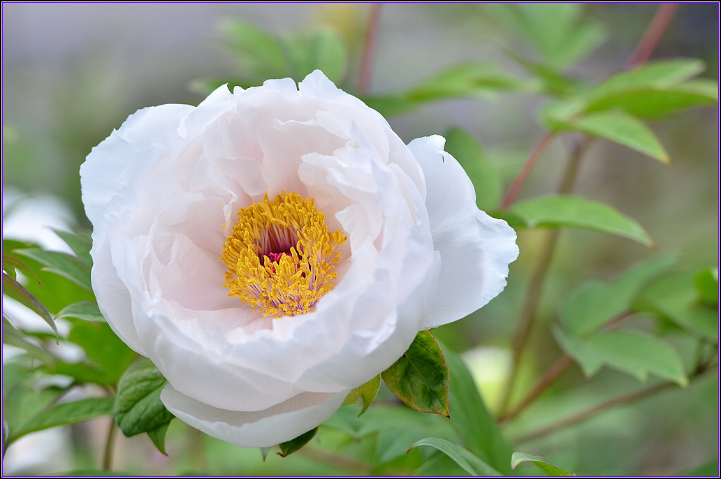 DSC_1148.jpg