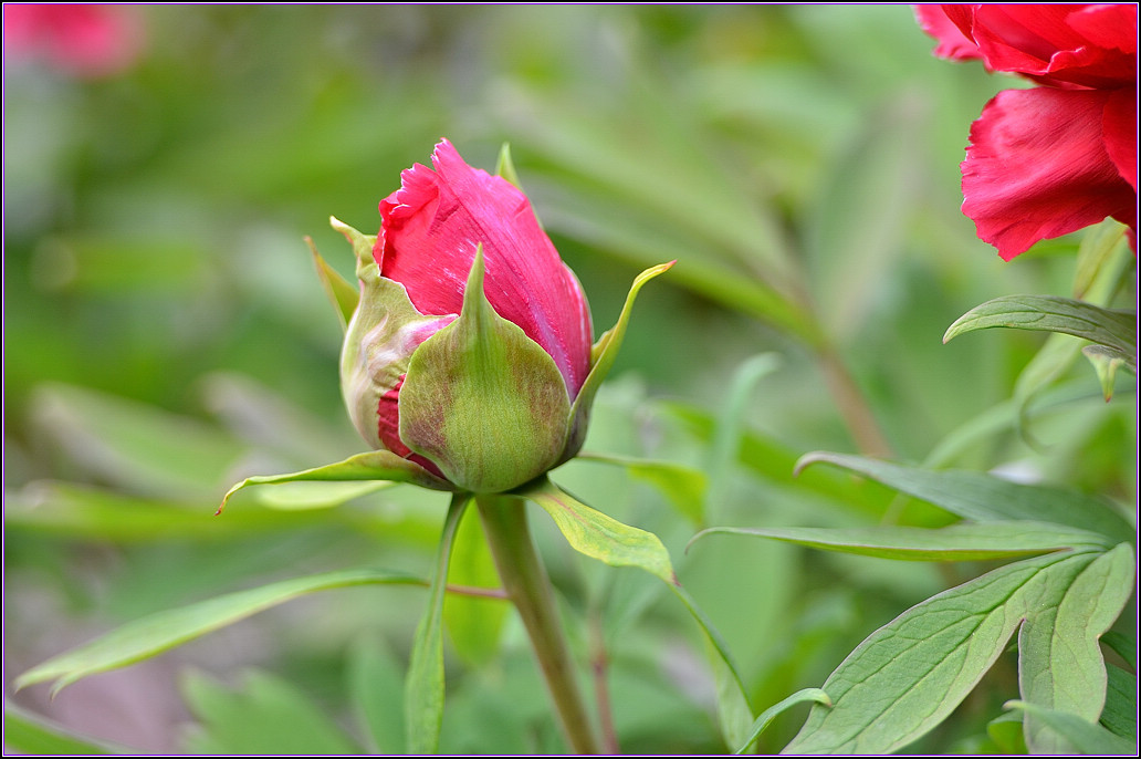 DSC_1152.jpg